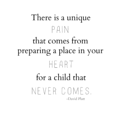 Screenshot 2019-02-20 at 3.27.07 PM